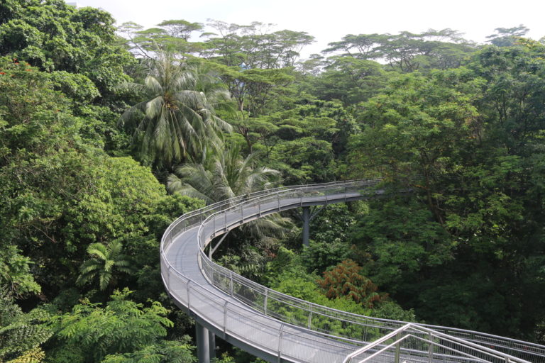 Southern Ridges Walk in Singapore