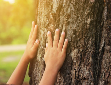 Forest schools in Hong Kong