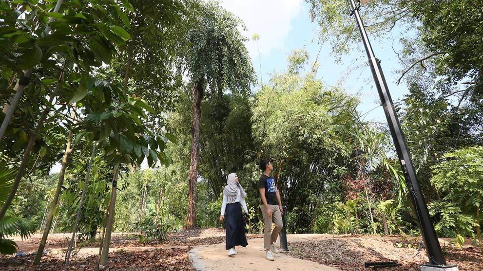 Gallop-Extension-Botanic-Gardens-Singapore