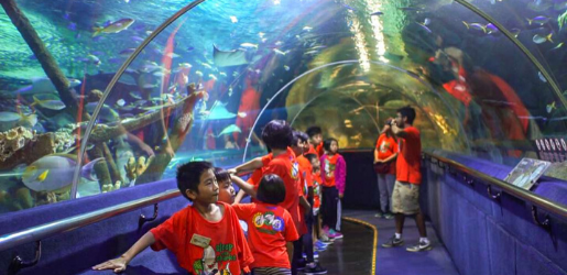 places to visit with family in kl