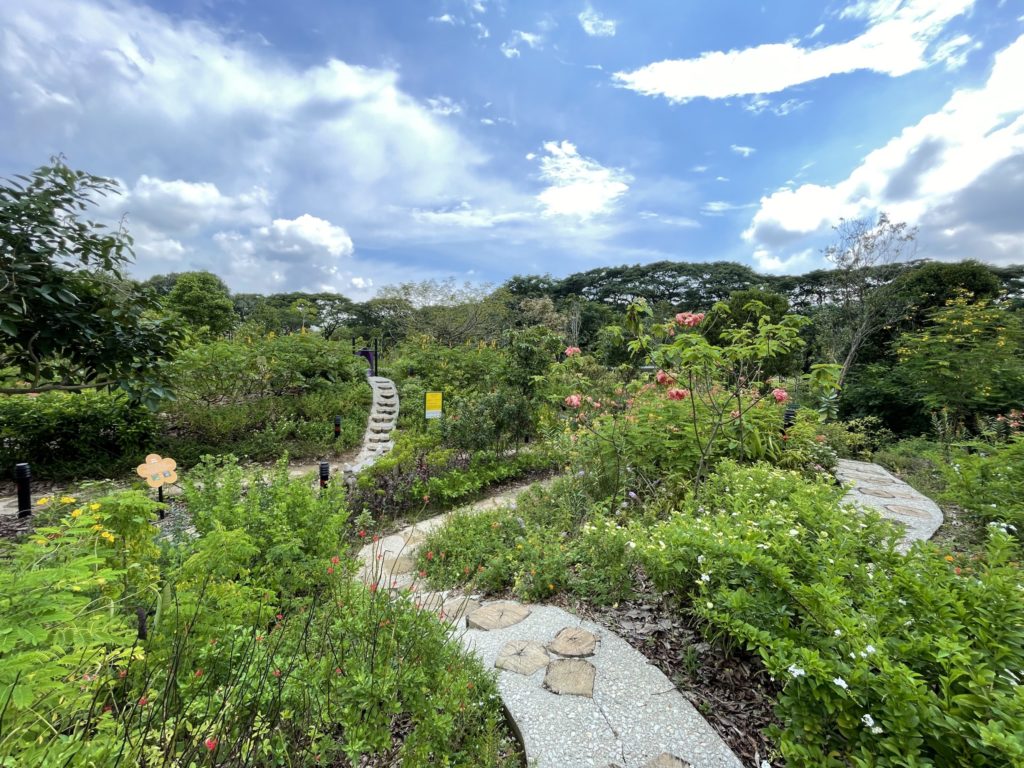 Learn With Nature At Butterfly Maze In Singapore